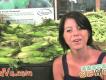 How to Buy Sweet Corn